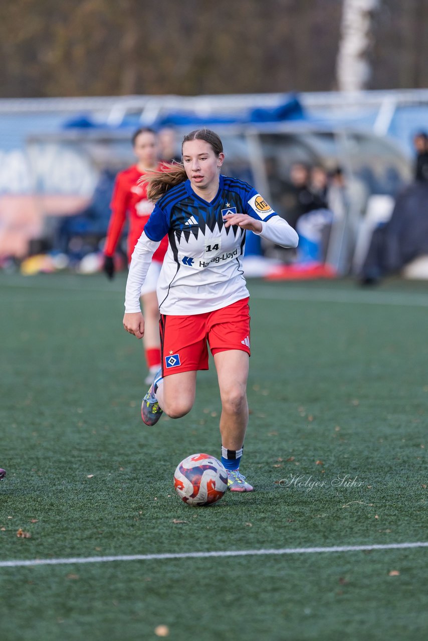 Bild 378 - wBJ Hamburger SV - Holstein Kiel : Ergebnis: 8:0